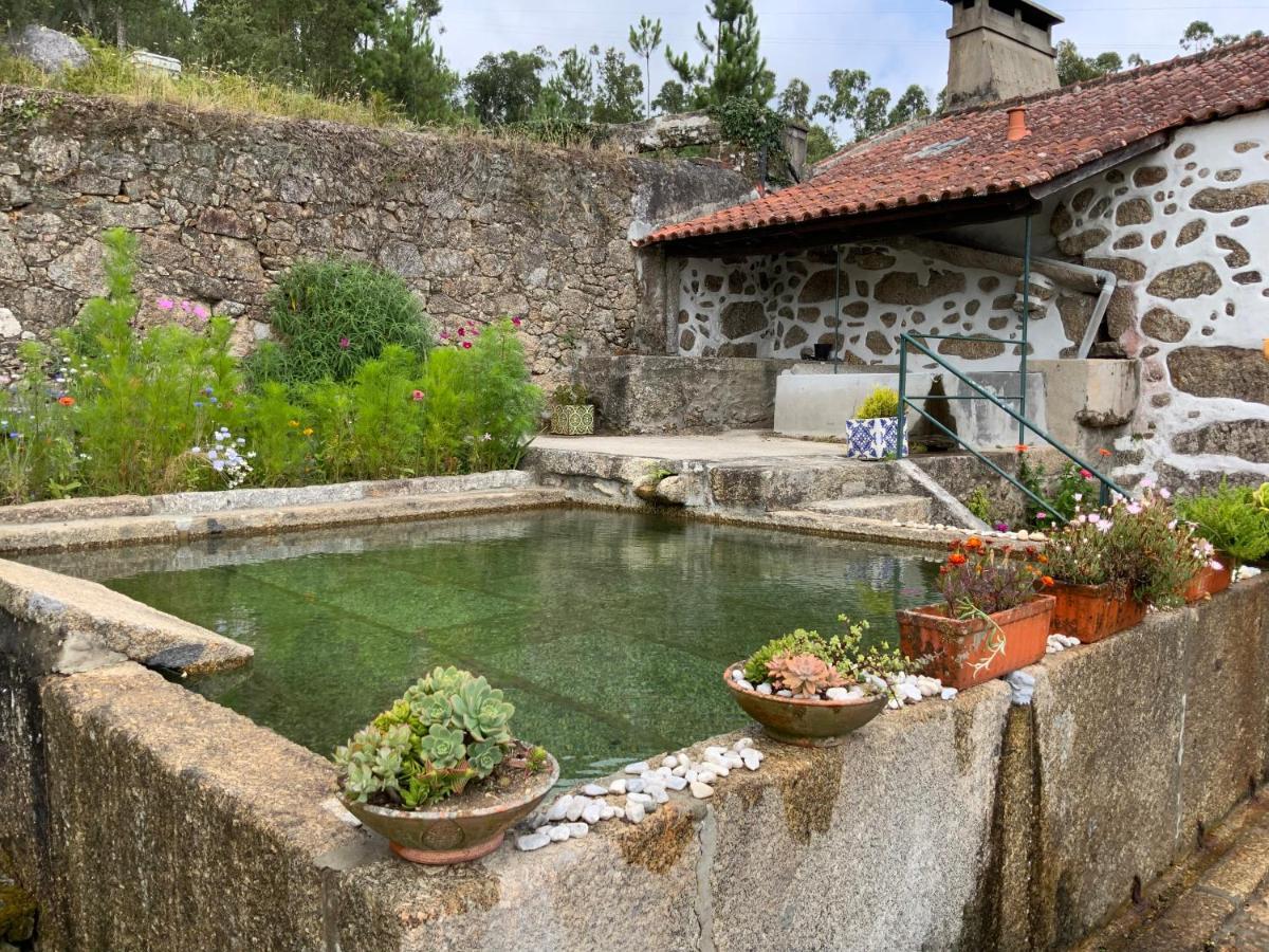 Villa Quinta Do Bravio Barroselas Exterior foto