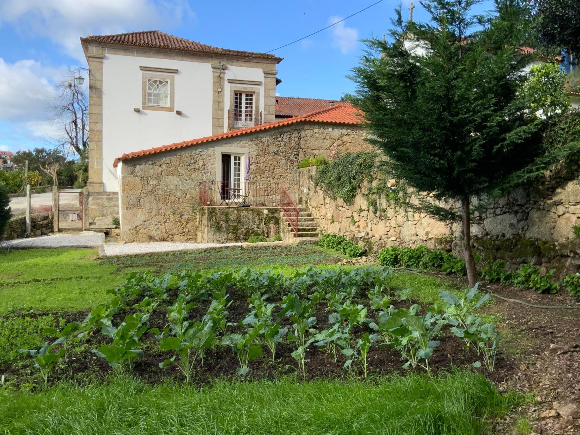 Villa Quinta Do Bravio Barroselas Exterior foto