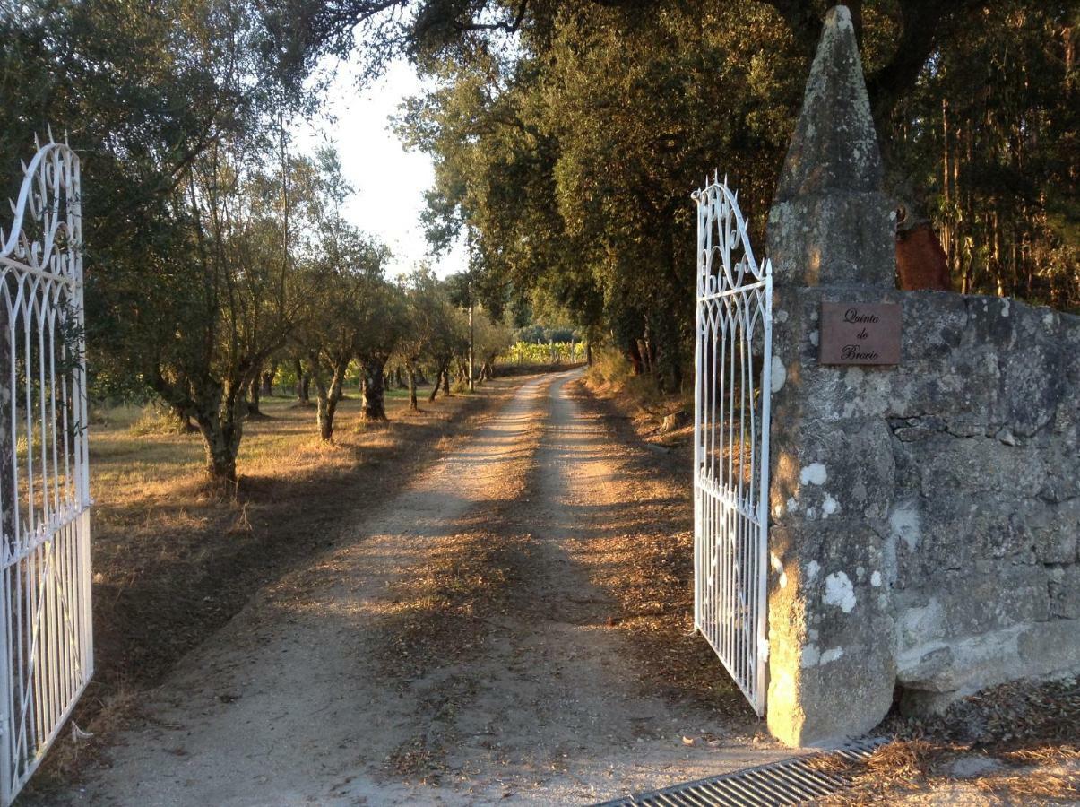 Villa Quinta Do Bravio Barroselas Exterior foto